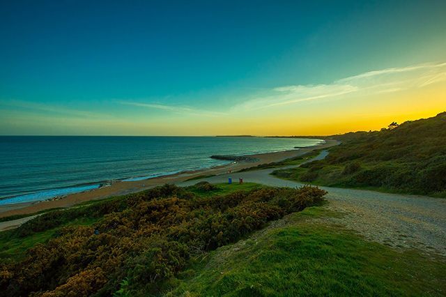 A beach at sunset with grass and bushes